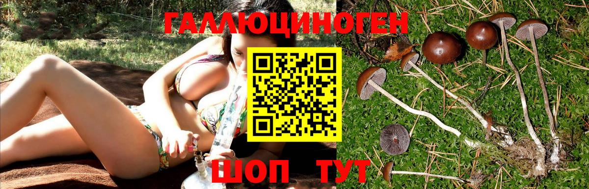 Псилоцибиновые грибы мицелий  Псилоцибиновые грибы ЛСД  Вход с VPN  Ликино-Дулёво 